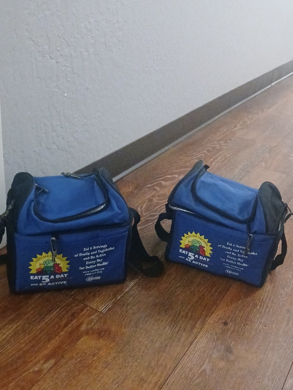 Blue Insulated Lunch Cooler Bag with Adjustable Strap